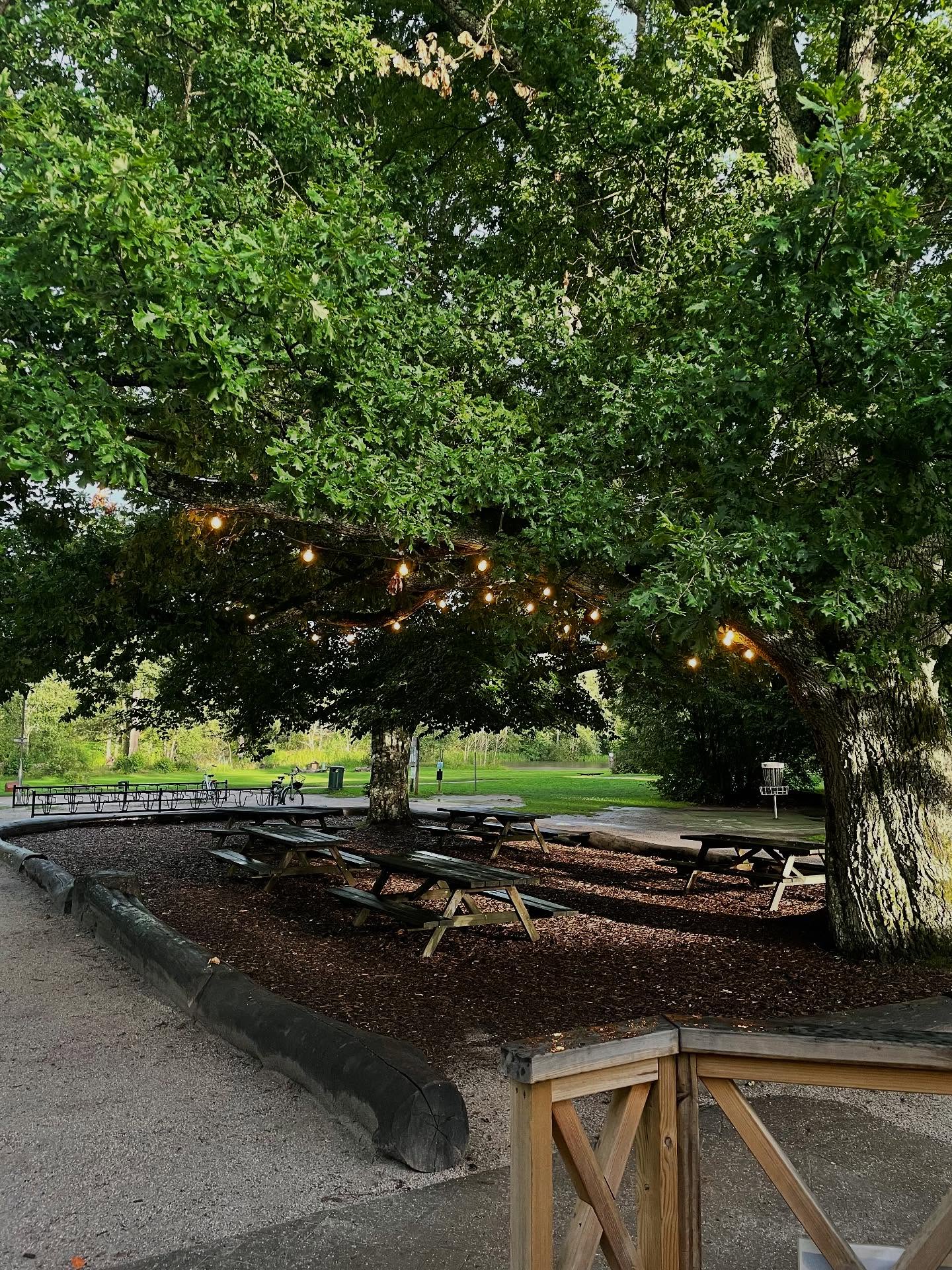 Denna vecka (v.32) är sista veckan med gratis aktiviteter för i år😢
Passa på att besöka oss och paddla kanot, spela minigolf och kasta frisbee helt gratis!🤩
Det är även sista veckan med aktiviteter så som klättring och skattjakt!🧗
Från och med v.33 går vi även över till andra öppetider. Hästhagen kommer då ha öppet mellan 11:00-18:00🕝
Obs: aktiviteterna är gratis för barn under 18 år