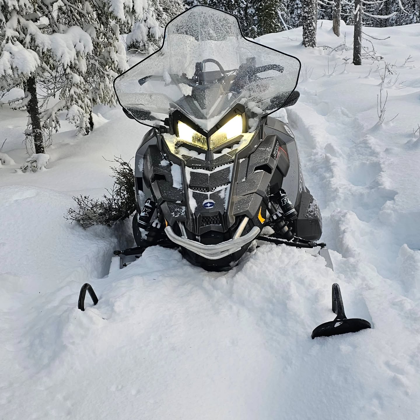 Er vel ingen fare for skiføre før om en stund, men den kalde tiden kommer.
#skiløyper #vinterland #winterwonderland #norsknatur #utno #polaristitan #polaristitanadventure #galterud_idrettsforening #nedre_josefbergsætra #skihytte #høljøren #løypekjøring #skiglede
#Idrettsforening # idrettslag #merkevarebygging