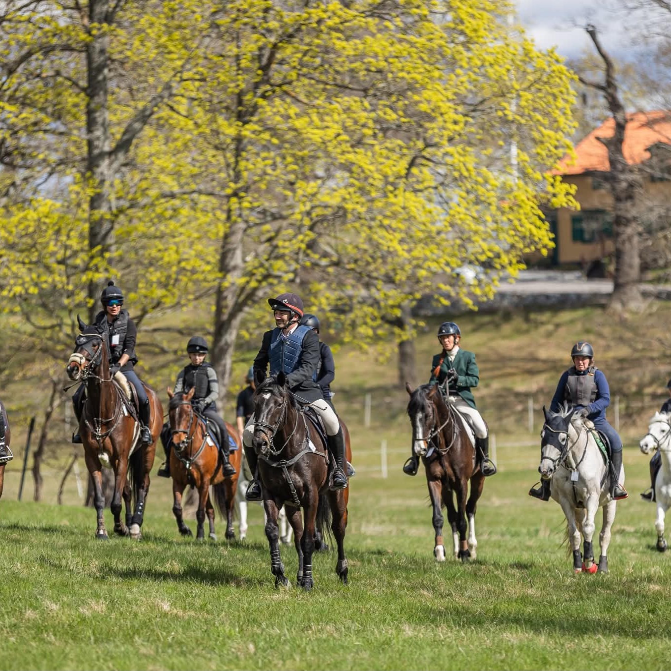 Du har väl inte missat att det är Dianaritt lördag den 23 maj?
Vi startar från Fisksjöäng och rider en fin tur på Norra Djurgården.
Vädret är säkert med oss (det brukar det vara :).
läs mer på
https://member.myclub.se/public/forms/17538/j8oMn1pxg7/