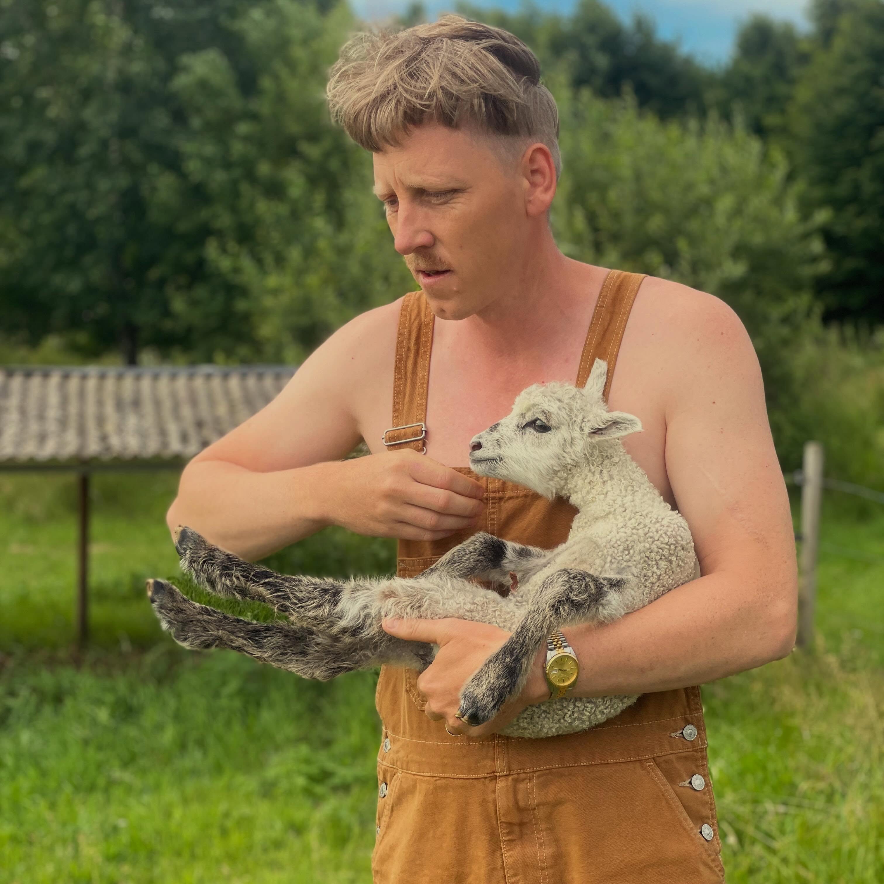 Vi har lamm! Det är första året vi testar att få lamm på sommaren så vi har väntat med spänning och idag kom den första 😊 De är egentligen beräknade till 15-20 juli så den är en vecka tidig. Määrta har alltid fått två lamm så det var lite nervöst när det bara kom ett men det är ett stort och friskt lamm så allt verkar ha gått bra.
Man älskar ju lammgoset 😍
Det är första gången vi låter dem lamma ute på betet så nu gäller det ha lite extra koll de första timmarna och dagarna. Någon av er som har erfarenhet av lammning på betet? Något särskilt vi borde hålla extra koll på?
/J