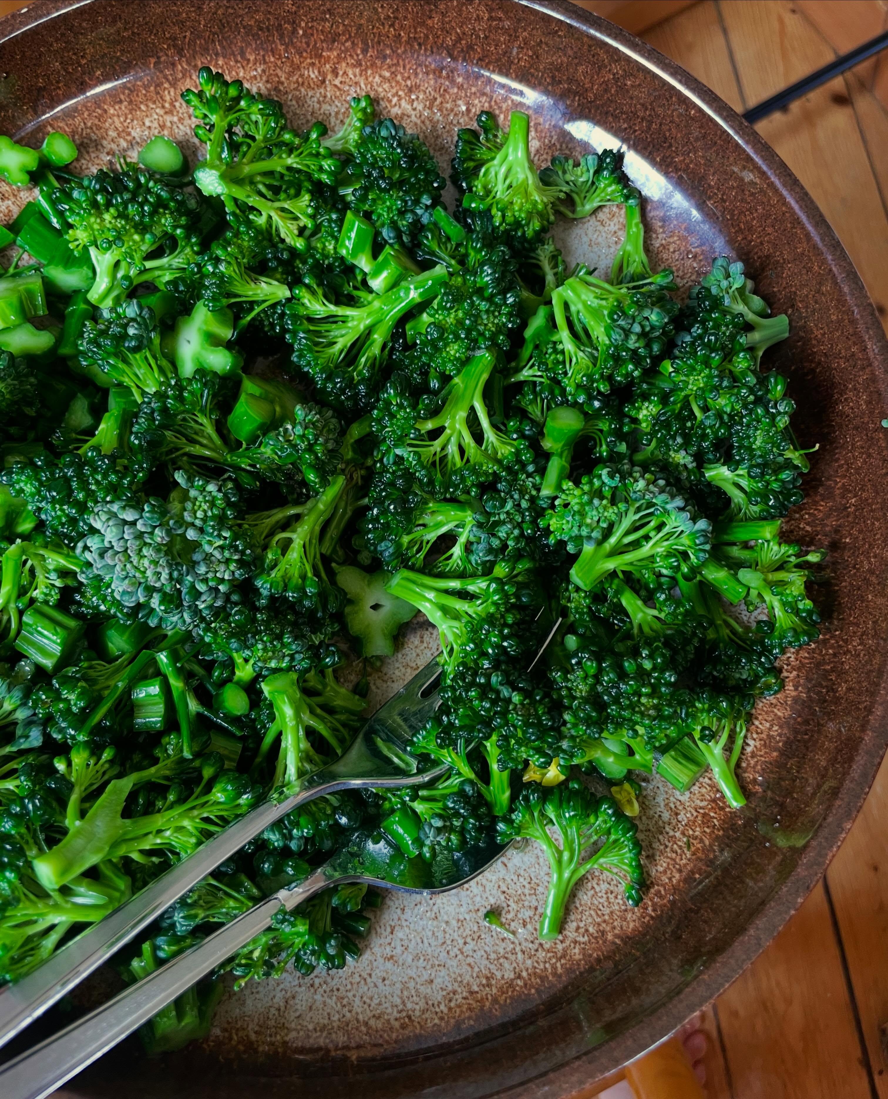 Orimligt pepp på livets första egenodlade broccoli 🥦
Om jag bara hade fått äta en sak resten av livet så hade det kunnat bli broccoli… vad hade du valt?
Som vanligt var det flera av plantorna som täcktes alldeles för sent med nät för att jag inte hittade en lösning jag tyckte var tillräckligt bra men några av broccolisarna verkar ha klarat sig fint ändå 😊
/J