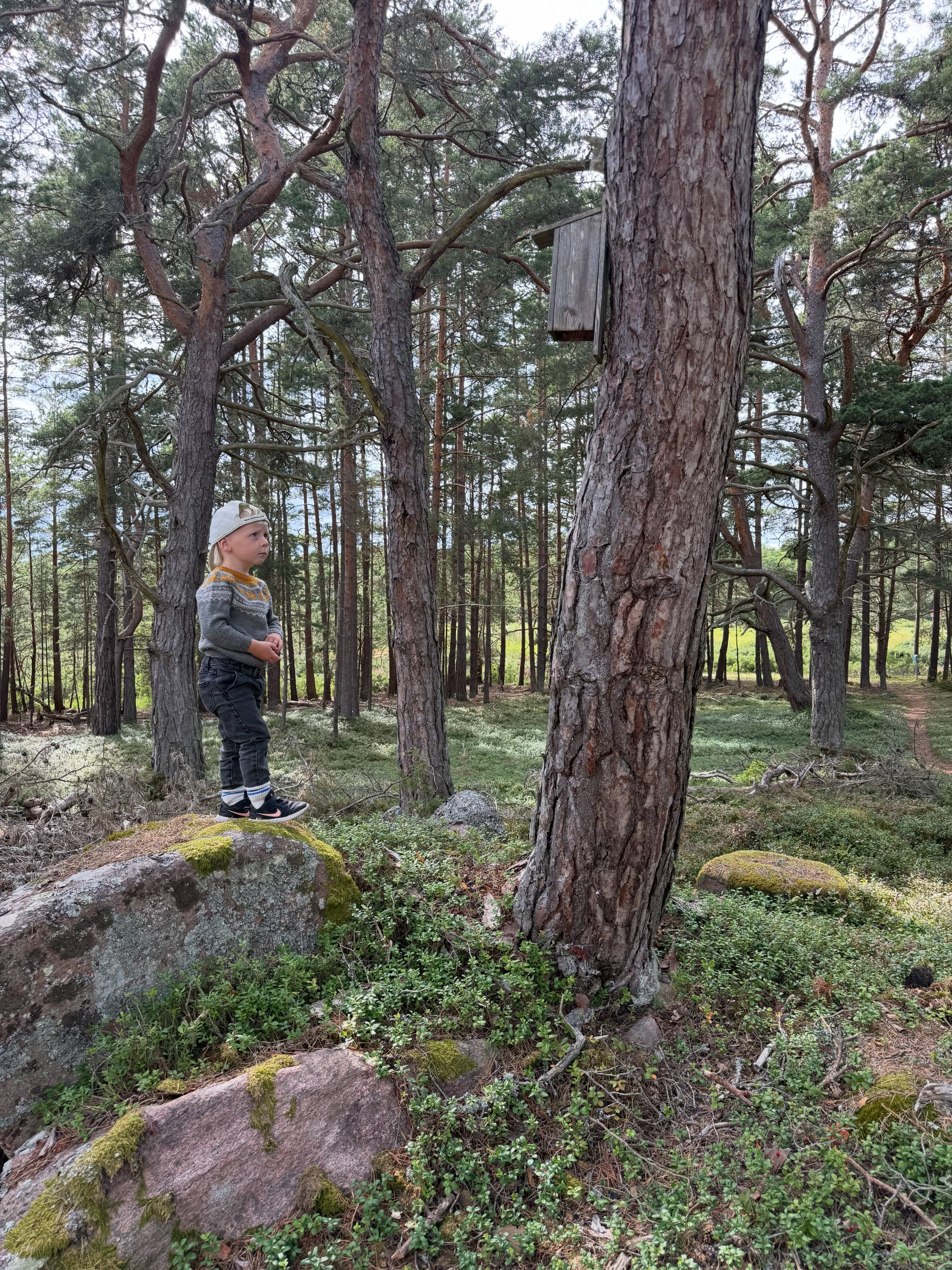 Halva familjen är i Norrland på ett bröllop och den andra jobbar på med unika turistupplevelser. Både helt otroligt underbart att få guida en grupp människor från Tyskland och Ukraina med sin son på ryggen och samtidigt lite krävande. Fördelen är att både min son och turisterna behövde mat och fika ungefär lika ofta som Hs interna fikaklocka slår till och han springer runt och ropar att han är ”fikig”.
Vilken dag och vilket landskap, fantastiskt att få jobba med detta!
/A