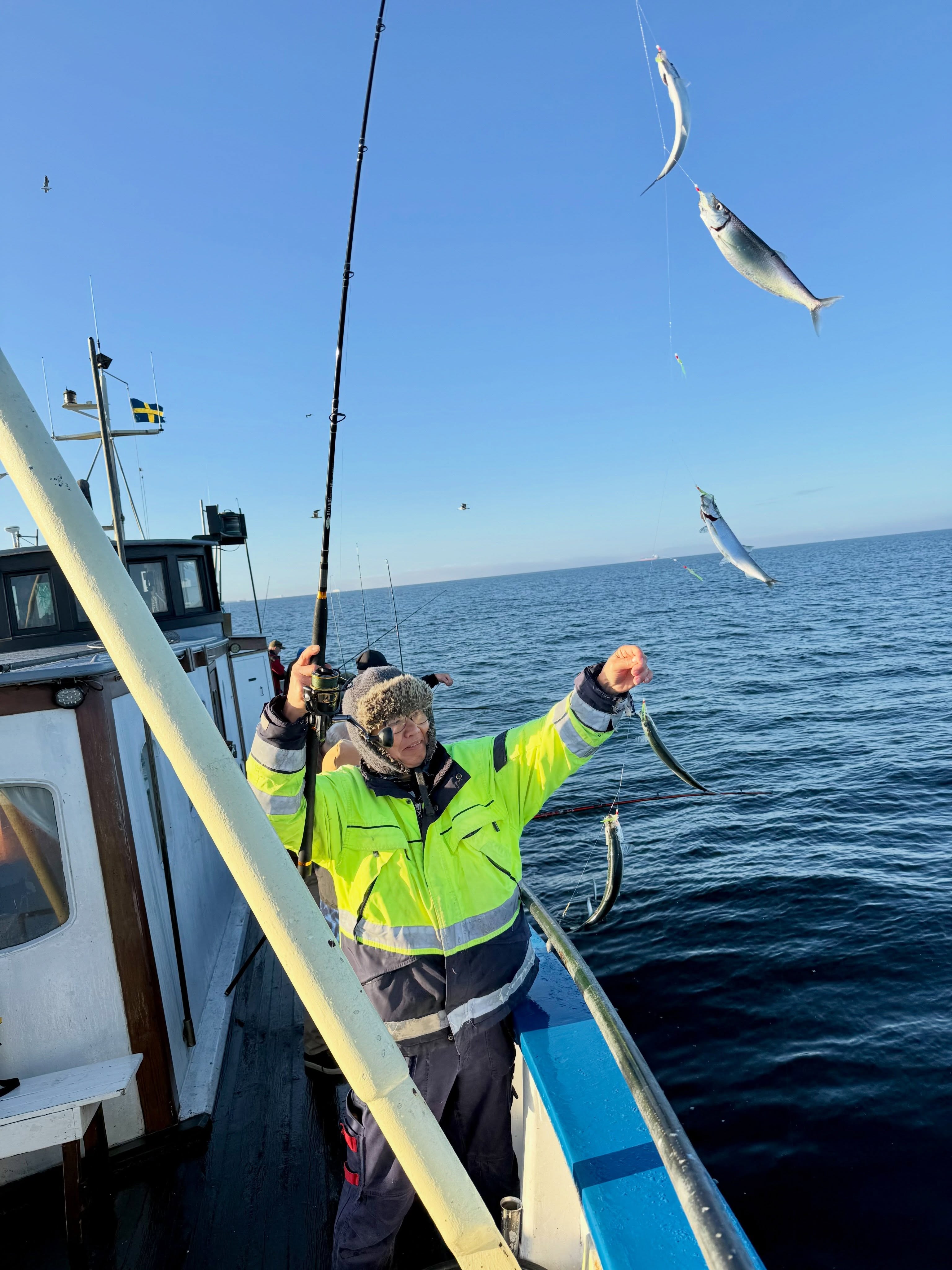Spektakulärt fiske hela söndagen!
Sillen nappade riktigt bra och som fint sällskap i fångsten bästa sällskap även ett tiotal makrillar 🎣
En riktig toppendag på Öresund med härlig stämning vid relingen. Tack till alla som följde med oss ut idag!
Vill du också följa med? Ring och boka på 070 201 00 88.
Rååbåtarna - Vi kan vårt Öresund