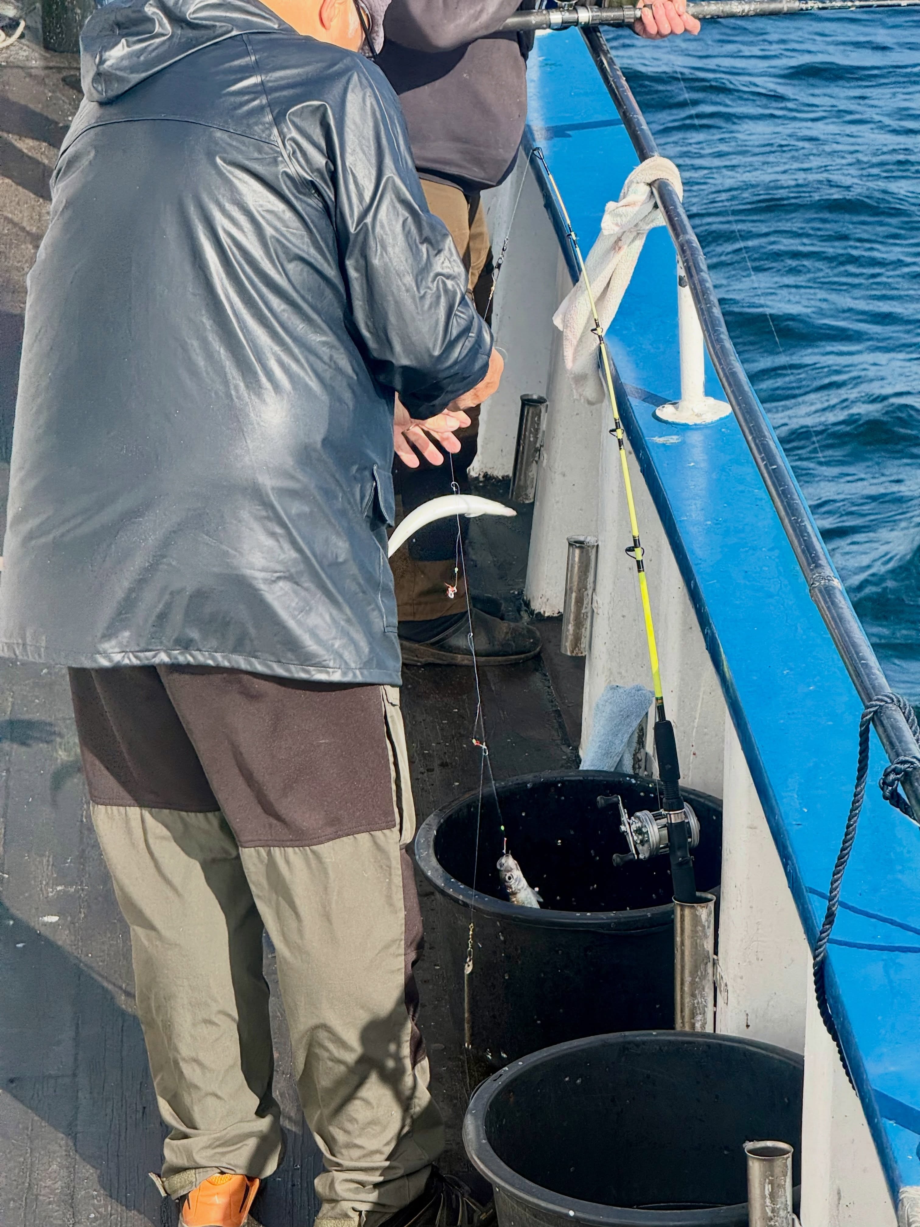 Sill, sill, sill! 🎣
Det var gott om sill på dagens tur. Strömmarna var stundtals starka och gjorde fisket lite mer utmanande för nybörjarna, men alla fick fint med sill med sig hem. Bra jobbat vid relingen idag!
Vi kör turer alla dagar utom måndagar. Vill du följa med? Ring 070 201 00 88 och boka din plats.
Rååbåtarna - Vi kan vårt Öresund
